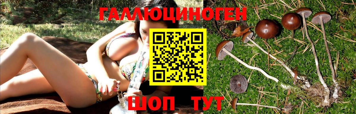 Галлюциногенные грибы ЛСД  Псилоцибиновые грибы прущие грибы  Вход с VPN  Барабинск 