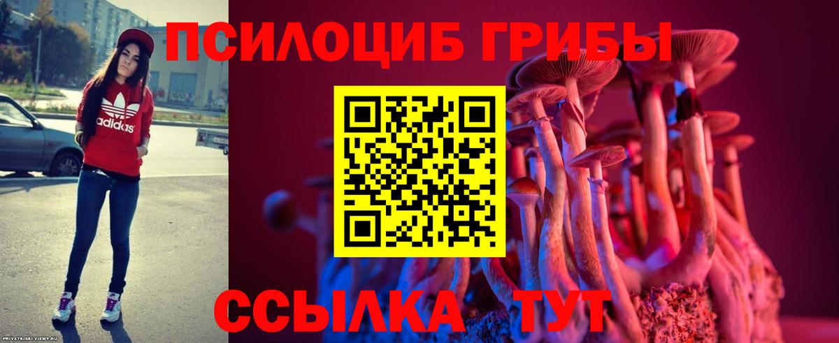 Псилоцибиновые грибы мухоморы Барабинск